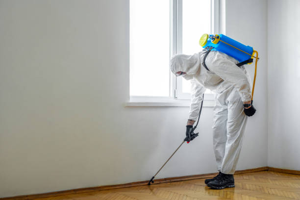 Best Real Estate Pest Inspections  in Jefferson, TX